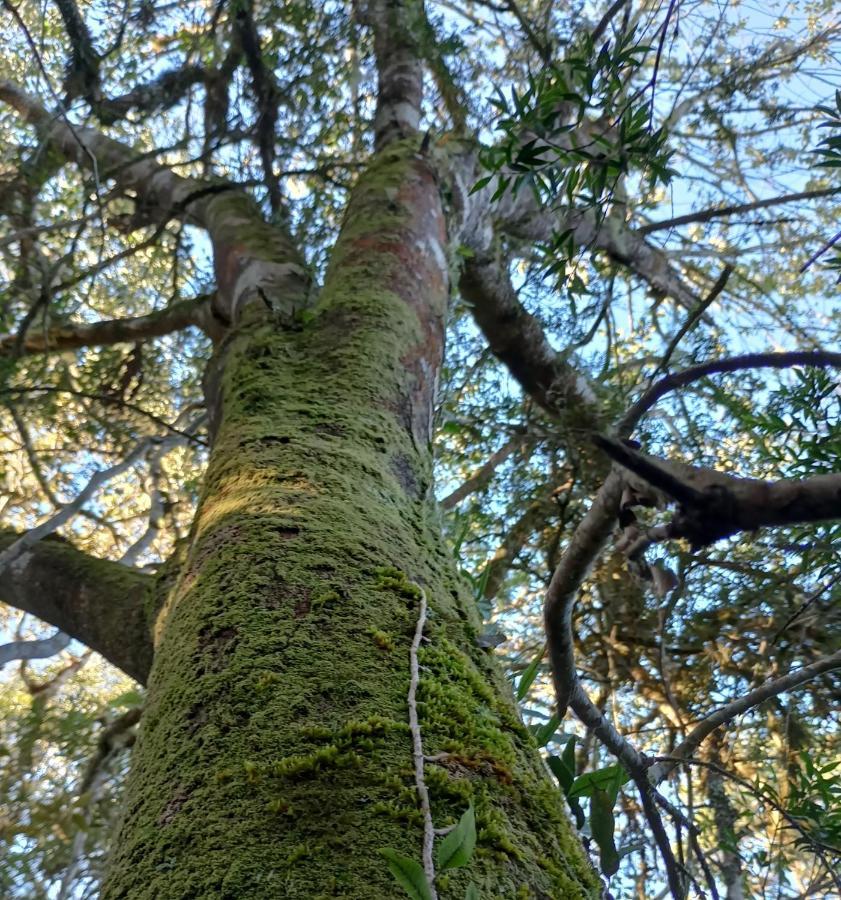 Vale Das Aguas Cambará Exteriör bild
